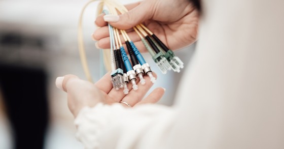 Fischer aterra em Portugal