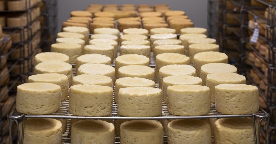 The best Portuguese cheese