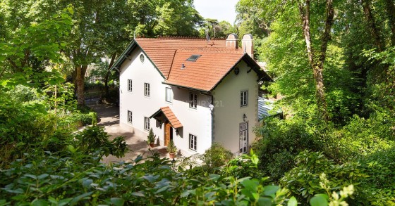Piérdete en los bosques que rodean esta encantadora casa histórica