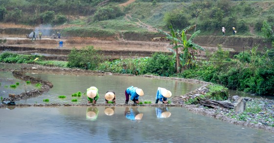 Crise na China