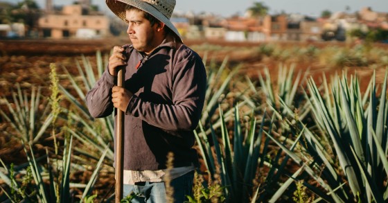 jogos de fazenda
