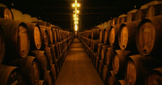 Affinez votre palais avec cette route des vins de Porto