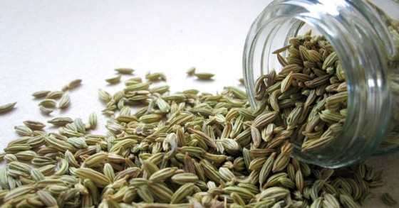 Plantas medicinais