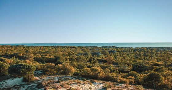 "Terras da Comporta" será a maior comunidade energética da Europa
