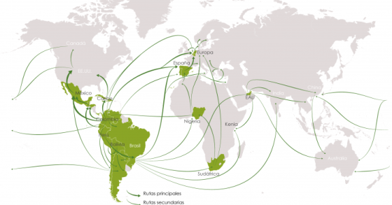 Tráfico de cocaína