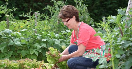 horta autossuficiente