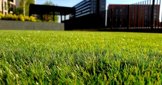 como limpar a relva artificial