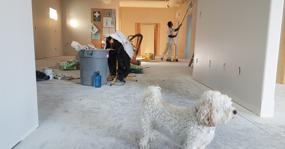 custo de construir casa nova