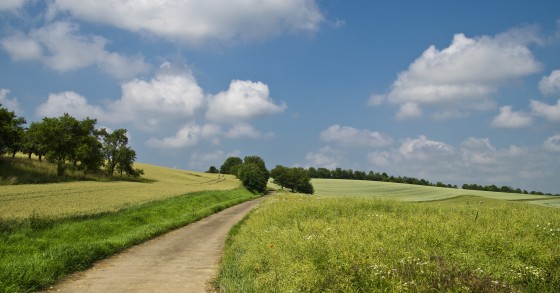 Terrenos georreferenciados: Portugal ultrapassa o meio milhão