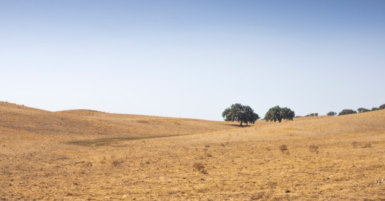 Terrenos e heranças em Portugal