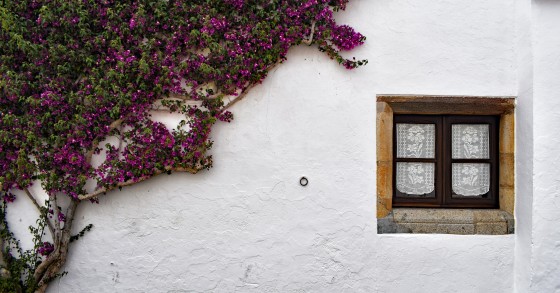 Casas no Alentejo
