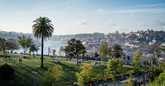 Porto: Carta Municipal da Habitação concluída em 2023