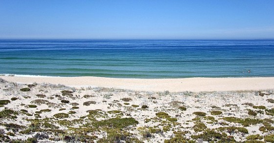 Investimento e promoção imobiliária na Comporta