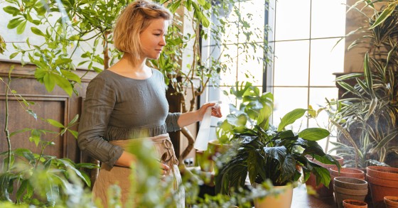 Jardim de inverno: dicas para qualquer divisão