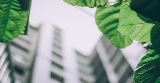 arquitetura sustentável
