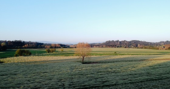 vista panorâmica de terreno