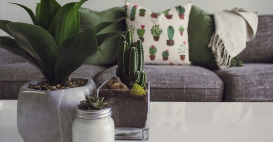 Decora a tua casa de forma mais responsável e sustentável