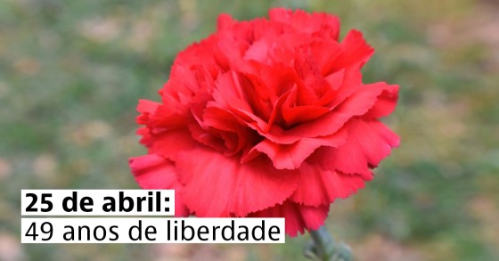 Dia da liberdade