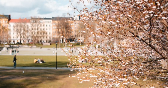habitação acessível
