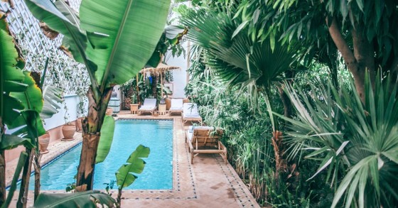 jardim com piscina