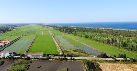 Comporta atrai projetos imobiliários