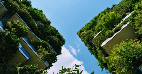 sustentabilidade