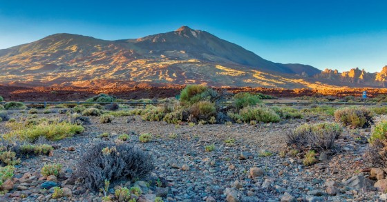 El Teide