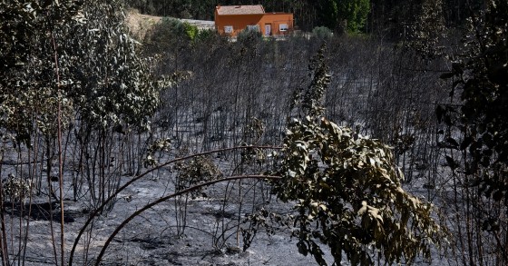 seguros contra incêndios
