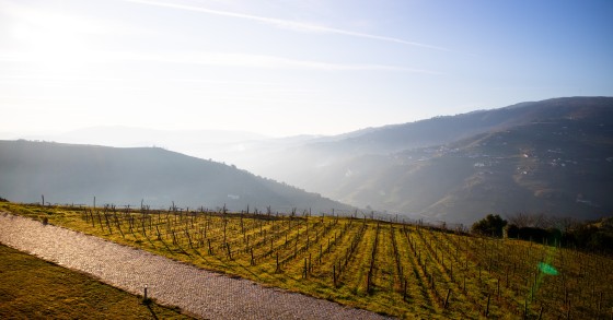 Registo de terrenos em Portugal
