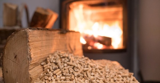 Pellets: sabes onde se deve deitar fora as cinzas da tua salamandra? 