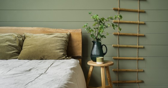Plantas para o quarto: estas opções vão ajudar-te a dormir melhor