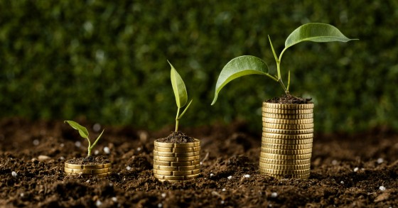 saber investir dinheiro
