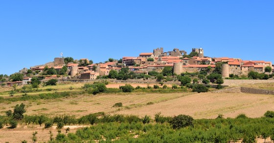 Figueira de Castelo Rodrigo