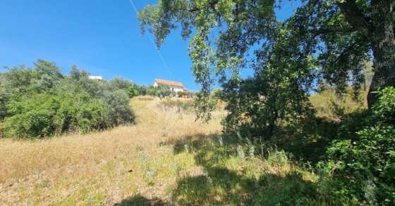 Terrenos rústicos não urbanizáveis à venda