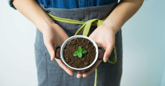 plantas