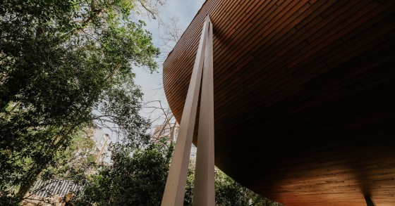 novo Centro de Arte Moderna Gulbenkian