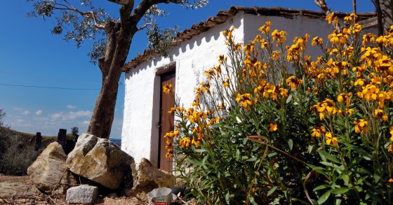 o que ver em alegrete