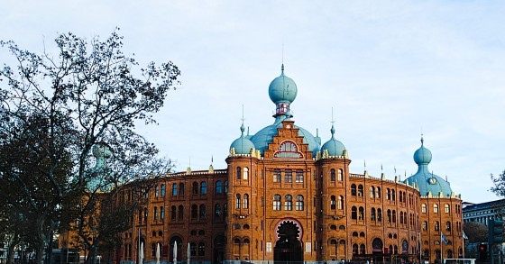 Campo pequeno