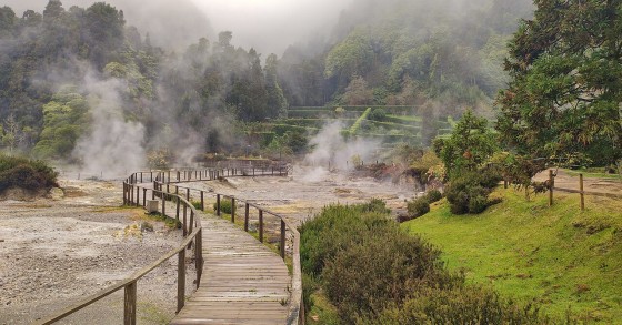 Furnas
