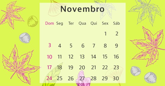 Mês de novembro