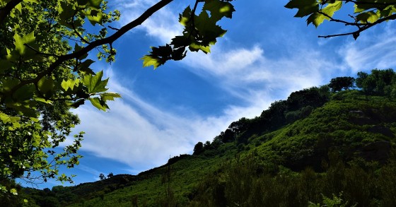 Tapada Nacional de Mafra