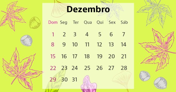 Calendário dezembro 2024