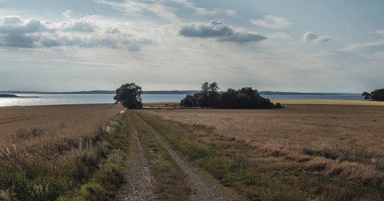 Terrenos em Portugal