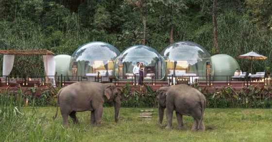Casas-burbuja para dormir bajo las estrellas o añadir una habitación de invitados