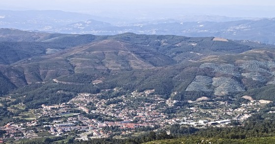 Arouca