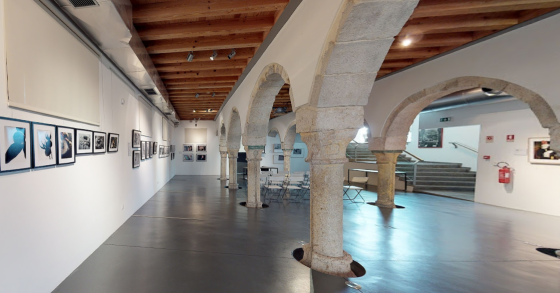 Museu da imagem em Movimento