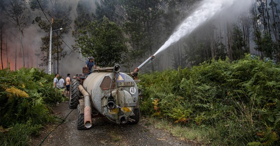Limpeza de terrenos em Portugal
