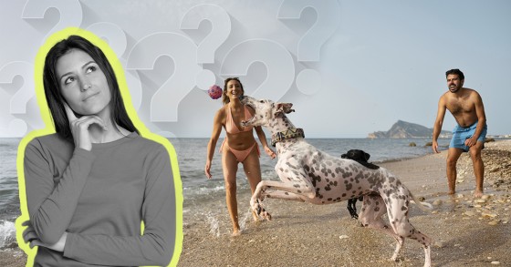 Posso levar o cão à praia?