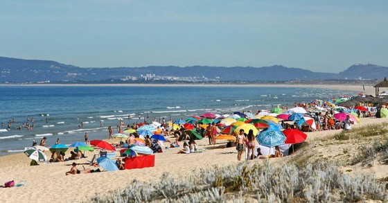 Projetos na Comporta