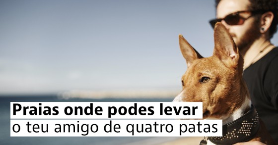 praia para animais